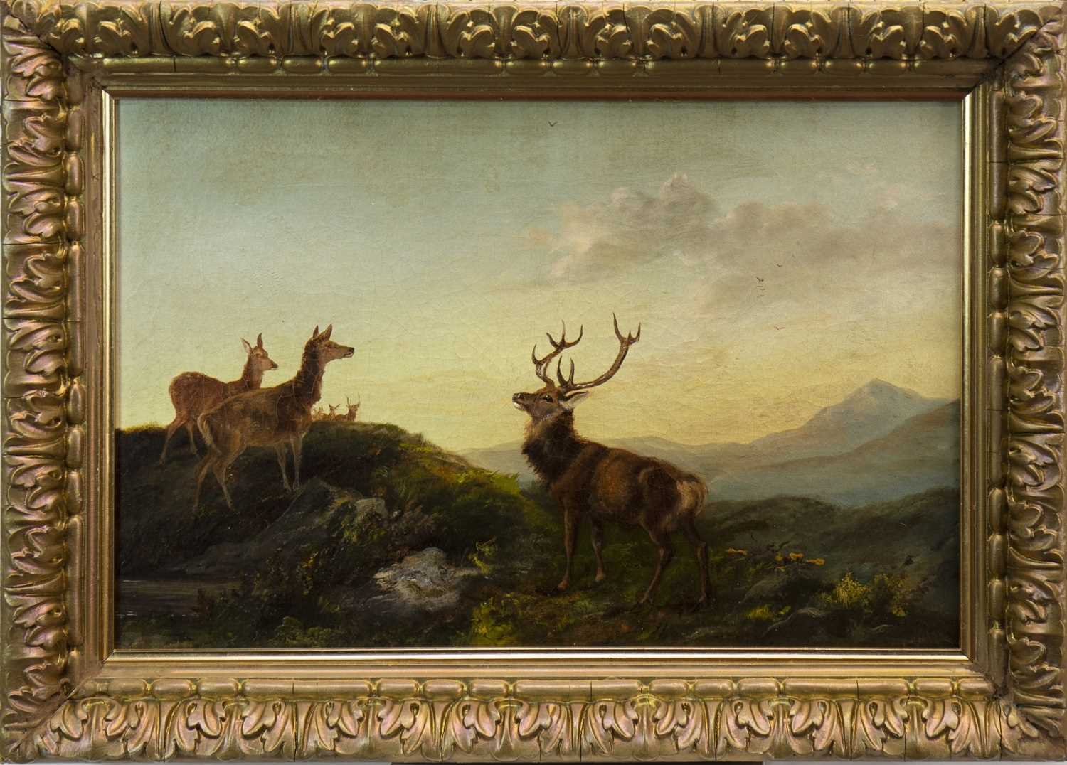 Lot 437 - A STAG AND HINDS ON A RIDGE, AN OIL BY ROBERT CLEMINSON