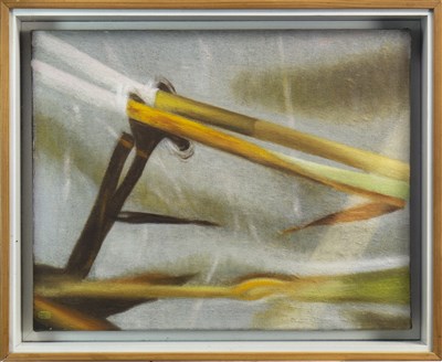 Lot 505 - REEDS AND REFLECTIONS, AN OIL BY TIM GOULDING