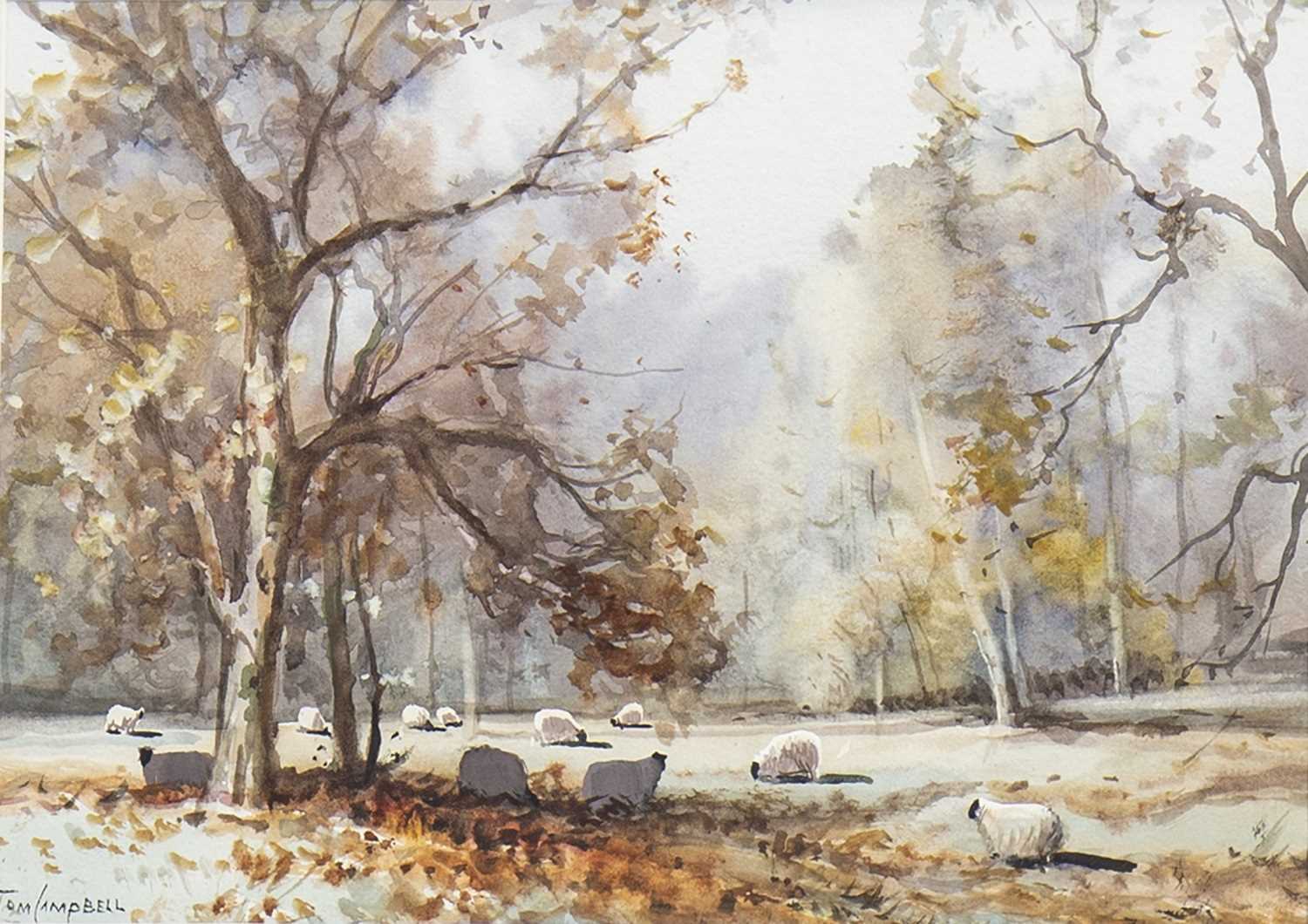 Lot 614 - NOVEMBER IN THE GLEN, A WATERCOLOUR BY TOM CAMPBELL