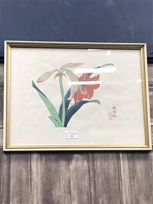 Lot 352 - THREE CHINESE BOTANICAL WATERCOLOURS