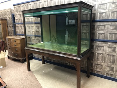 Lot 218 - AN EARLY 20TH CENTURY DISPLAY CASE