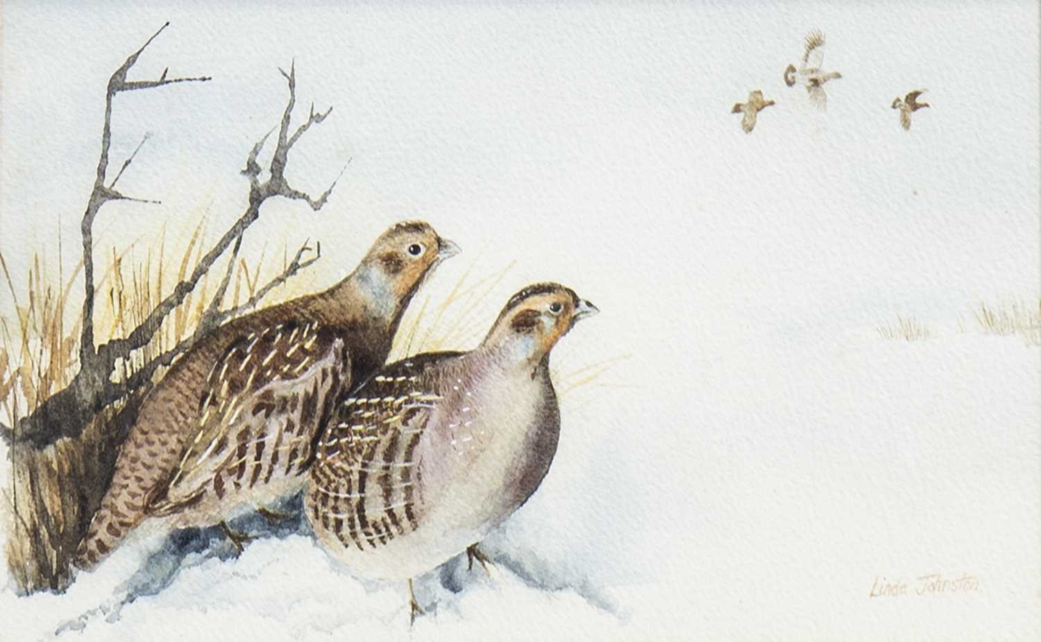 Lot 645 - GROUSE IN THE SNOW, A WATERCOLOUR BY LINDA JOHNSTON