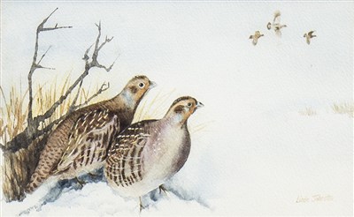 Lot 645 - GROUSE IN THE SNOW, A WATERCOLOUR BY LINDA JOHNSTON
