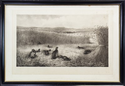 Lot 482 - SEPTEMBER PARTRIDGE, AN ENGRAVING BY ARCHIBALD THORBURN