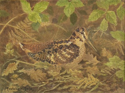 Lot 499 - WOODCOCK, AN OIL BY MADELINE SELFE