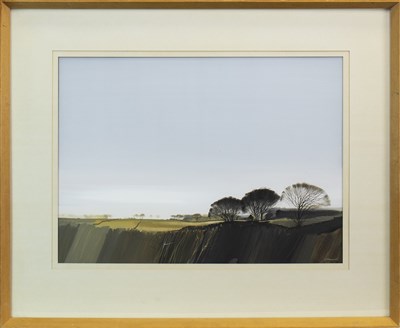 Lot 507 - MORNING LANDSCAPE, A MIXED MEDIA BY DONALD SHANNON