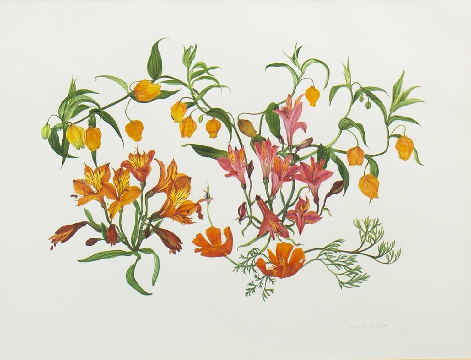 Lot 568 - HOT SUMMER, A WATERCOLOUR BY ELSPETH HARRIGAN
