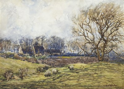 Lot 380 - SHEEP GRAZING IN WOODLAND, A WATERCOLOUR BY F MCALLISTER