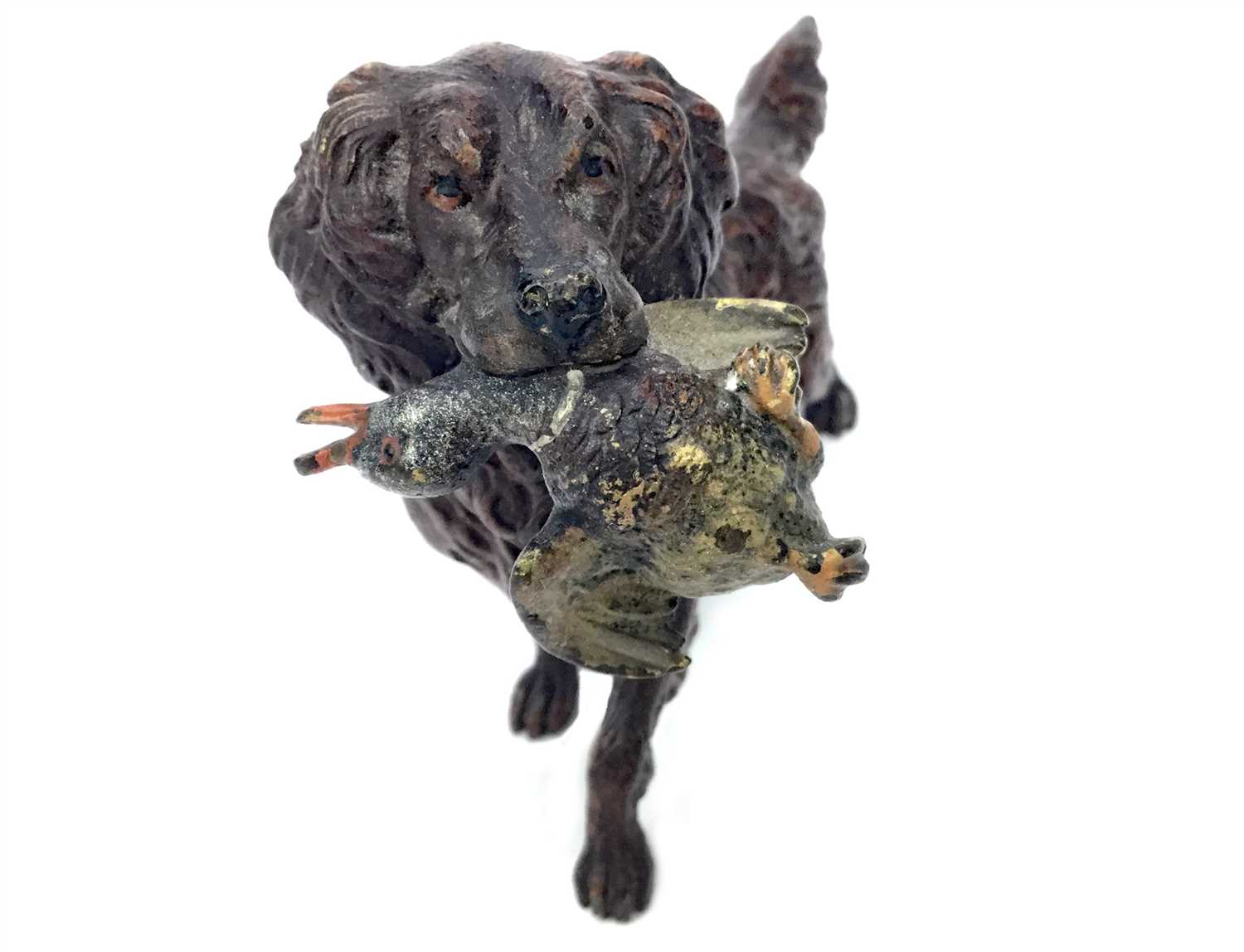 Lot 1553 - A COLD PAINTED BRONZE FIGURE OF A GUN DOG