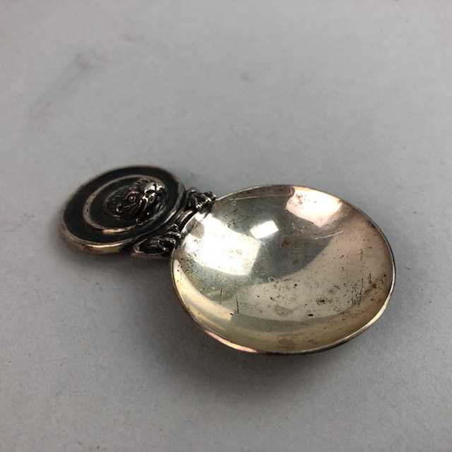 Lot 181 - A NOVELTY SILVER CADDY SPOON