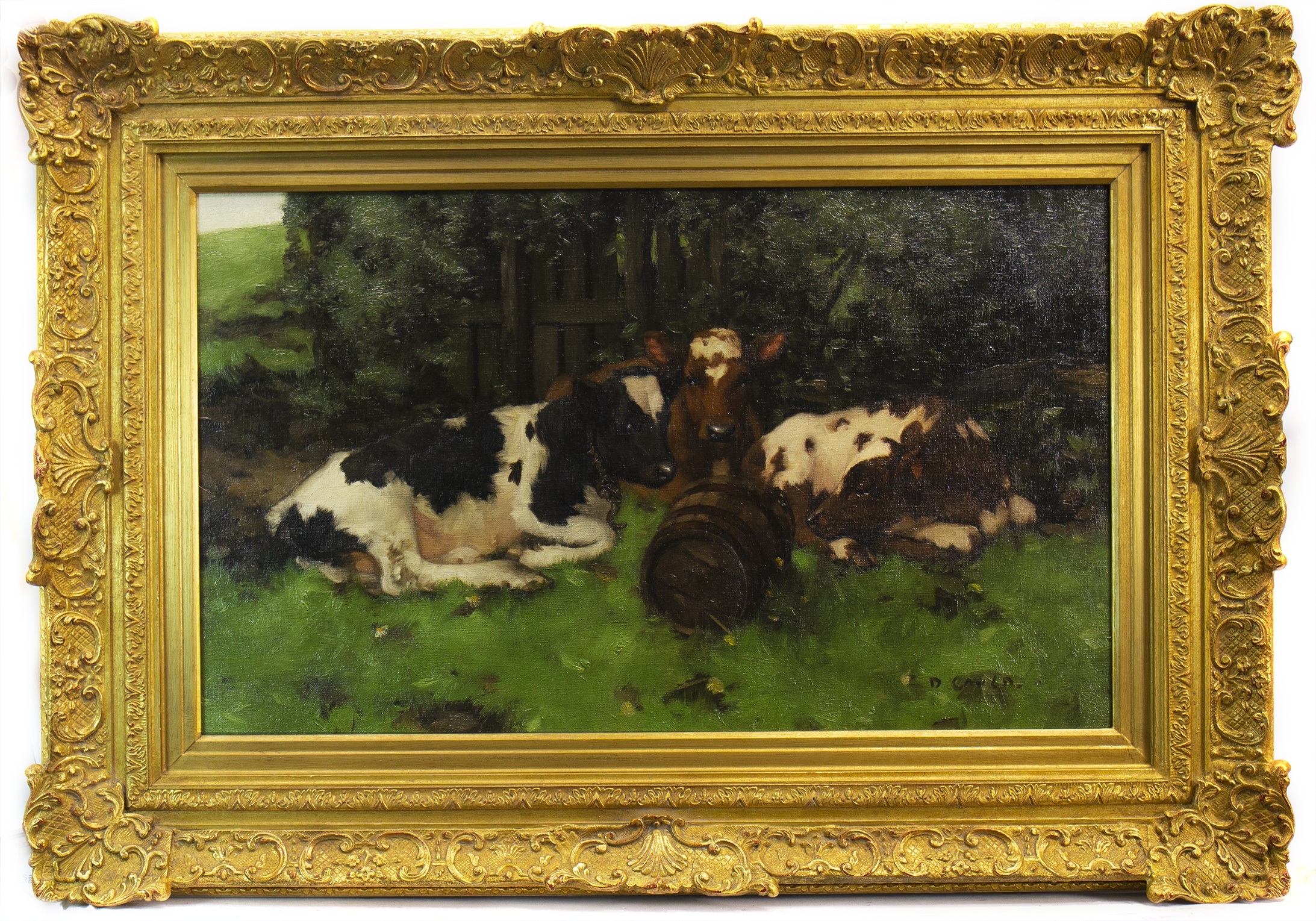 David Gauld, CALVES