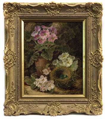 Lot 482 - STILL LIFE WITH BIRD'S NEST, AN OIL BY OLIVER CLARE