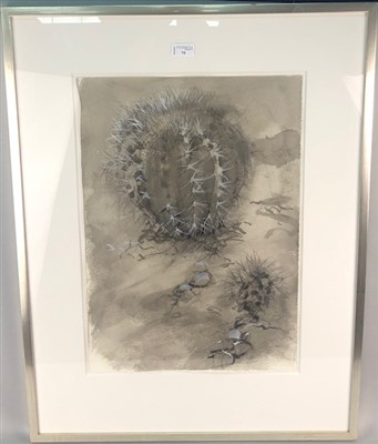 Lot 79 - SEED PODS, A WATERCOLOUR BY LAURA GRESSANI