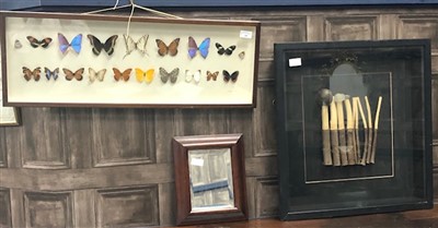 Lot 309 - A COLLECTION OF FRAMED BUTTERFLIES, A WALL MIRROR AND A CONTEMPORARY PICTURE