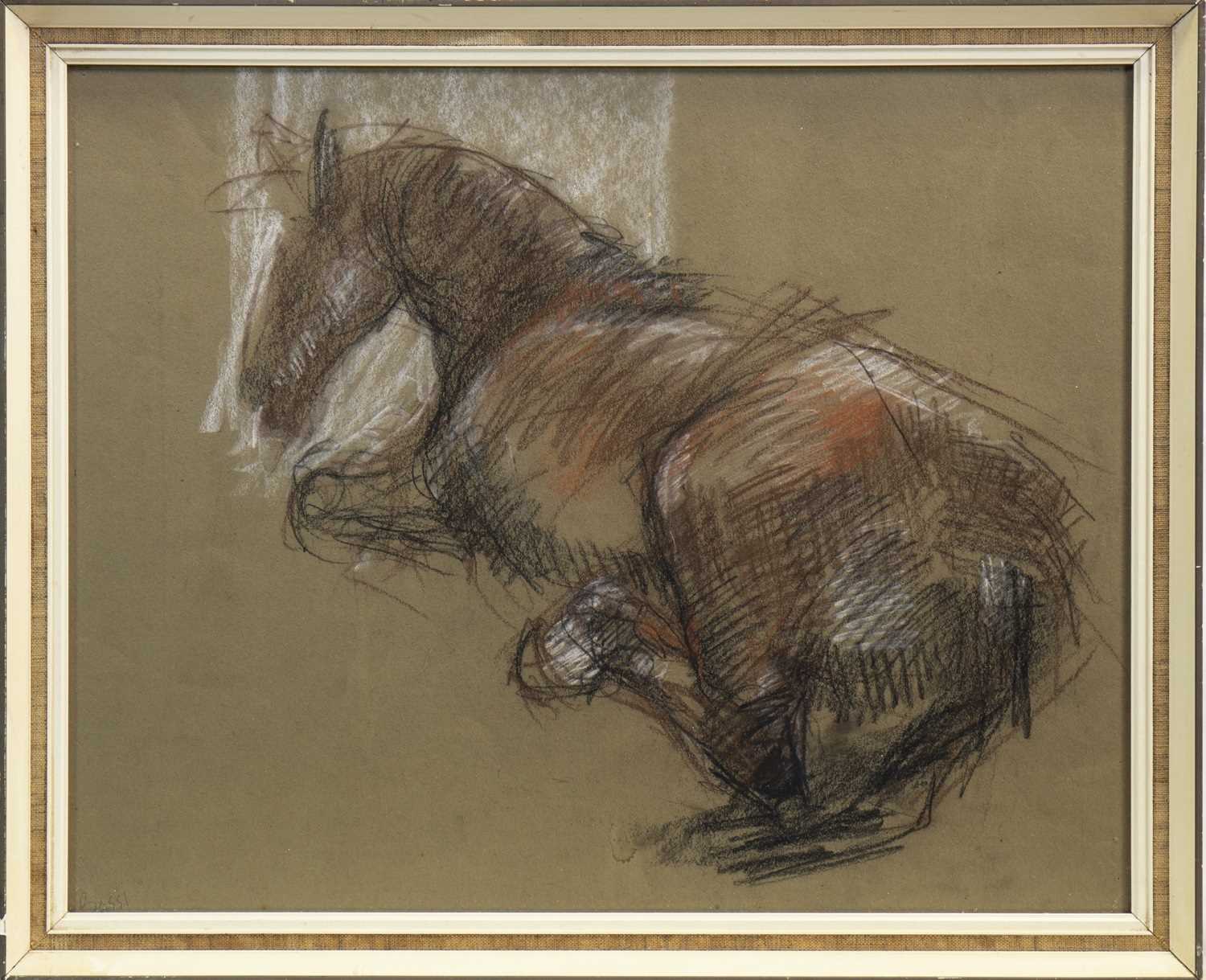 Lot 520 - SKETCH OF A HORSE, A PASTEL BY SOFIA BASSI