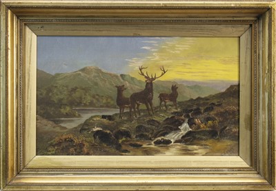 Lot 689 - STAG AND HINDS ON A MOUNTAIN RIDGE, AN OIL