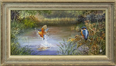 Lot 786 - KINGFISHERS, AN OIL BY DAVID FEATHER