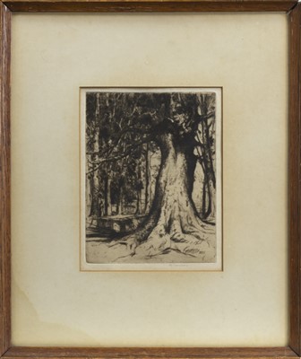Lot 719 - THE SYCAMORE, AN ETCHING BY D Y CAMERON