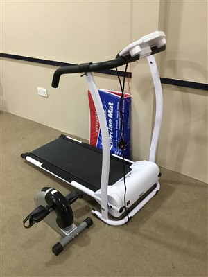 Lot 263 - A ZEUS HEALTH & FITNESS TREADMILL AND A PEDAL MACHINE