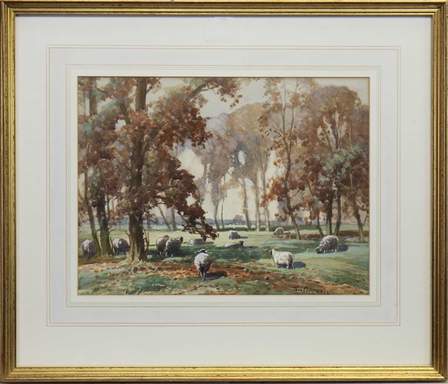 Lot 404 - SHEEP GRAZING IN WOODLANDS, A WATERCOLOUR BY TOM CAMPBELL