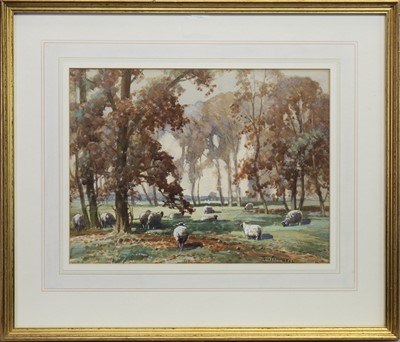 Lot 404 - SHEEP GRAZING IN WOODLANDS, A WATERCOLOUR BY TOM CAMPBELL
