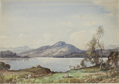 Lot 405 - SHEEP GRAZING BY A LOCH, A WATERCOLOUR BY TOM CAMPBELL