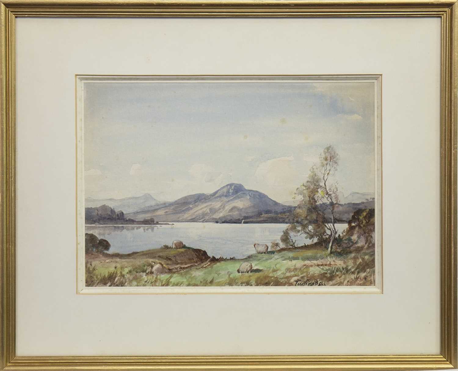Lot 405 - SHEEP GRAZING BY A LOCH, A WATERCOLOUR BY TOM CAMPBELL
