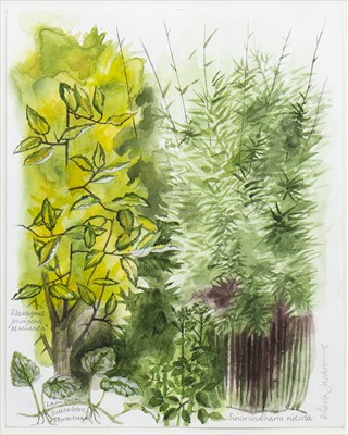 Lot 416 - ILLUSTRATION FROM 'BLOOMING SMALL', A WATERCOLOUR BY SHEILA JACKSON