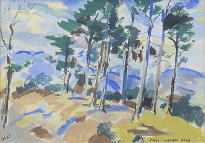 Lot 658 - PINES, WESTER ROSS, A WATERCOLOUR BY ALEXANDER MILLIGAN GALT