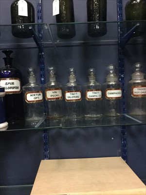 Lot 1307 - A LOT OF LATE 19TH/EARLY 20TH CENTURY PHARMACEUTICAL BOTTLES