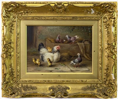 Lot 15 - CHICKENS WITH PIGEONS, AN OIL BY EDGAR HUNT