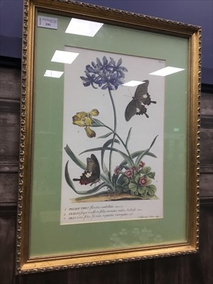 Lot 191 - A SET OF FOUR REPRODUCTION HORTICULTURAL PRINTS