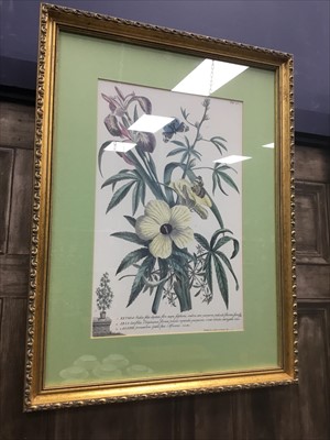 Lot 191 - A SET OF FOUR REPRODUCTION HORTICULTURAL PRINTS