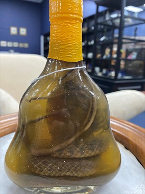 Lot 323 - A SNAKE AND SCORPION IN A BOTTLE