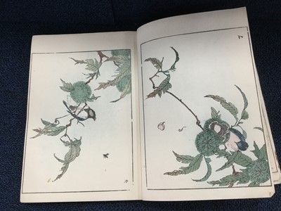 Lot 717 - A CHINESE BOUND FOLIO OF COLOUR PRINTS
