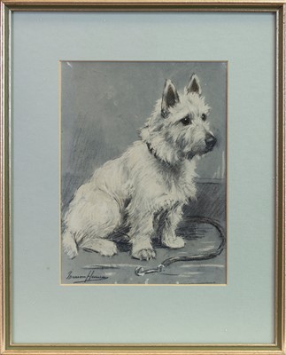 Lot 166 - TERRIER, A PASTEL BY MARION HARVEY