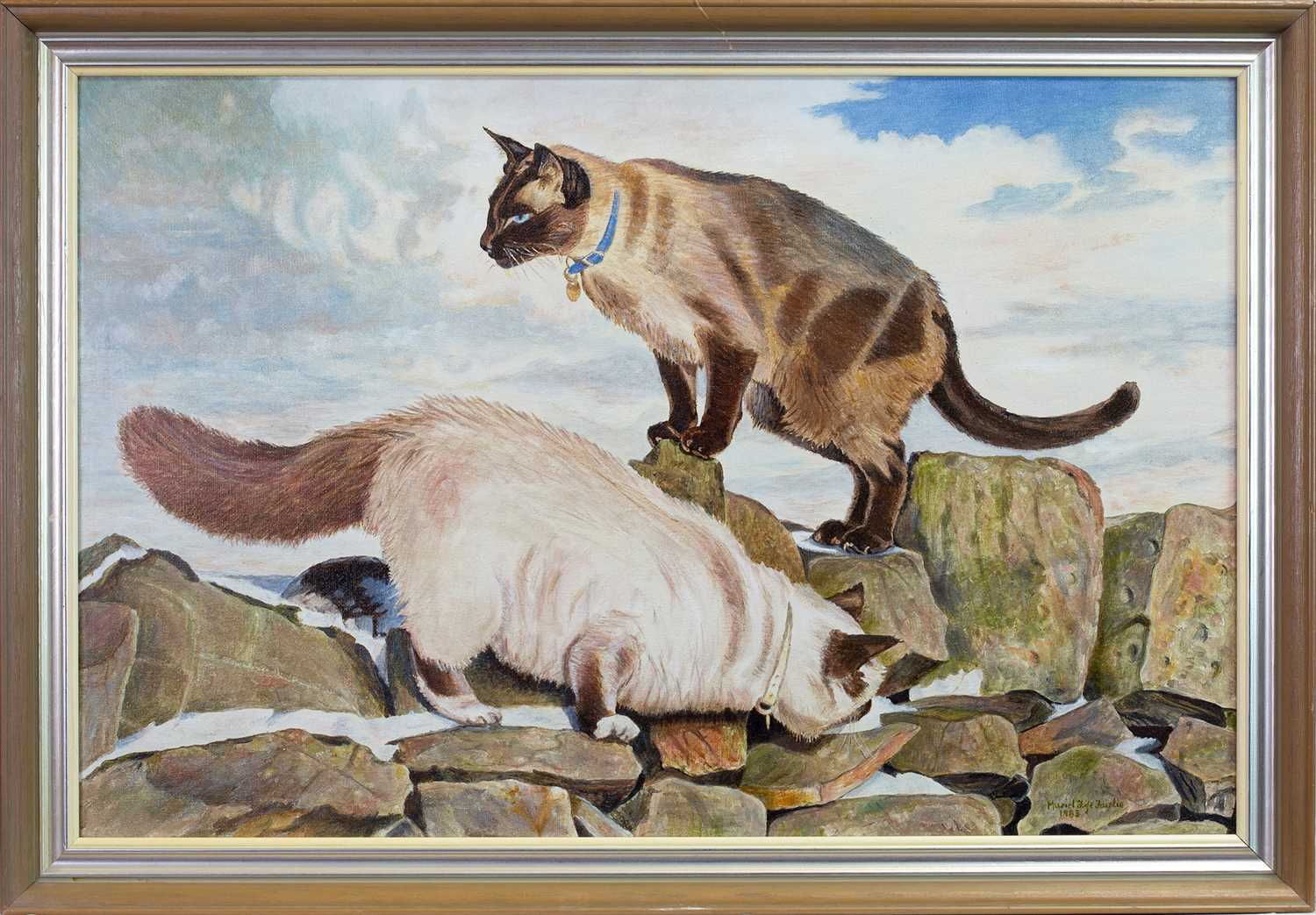 Lot 431 - SIAMESE CATS, AN OIL BY MUREL FIFE FAIRLIE