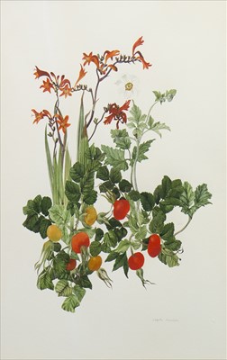 Lot 505 - ROSEHIPS AND FLOWERS, A WATERCOLOUR BY ELSPETH HARRIGAN