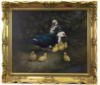 Lot 125 - DUCKS AND DUCKLINGS, AN OIL BY BERRISFORD HILL