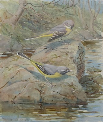 Lot 18 - GREY WAGTAILS, A WATERCOLOUR BY DONALD WATSON