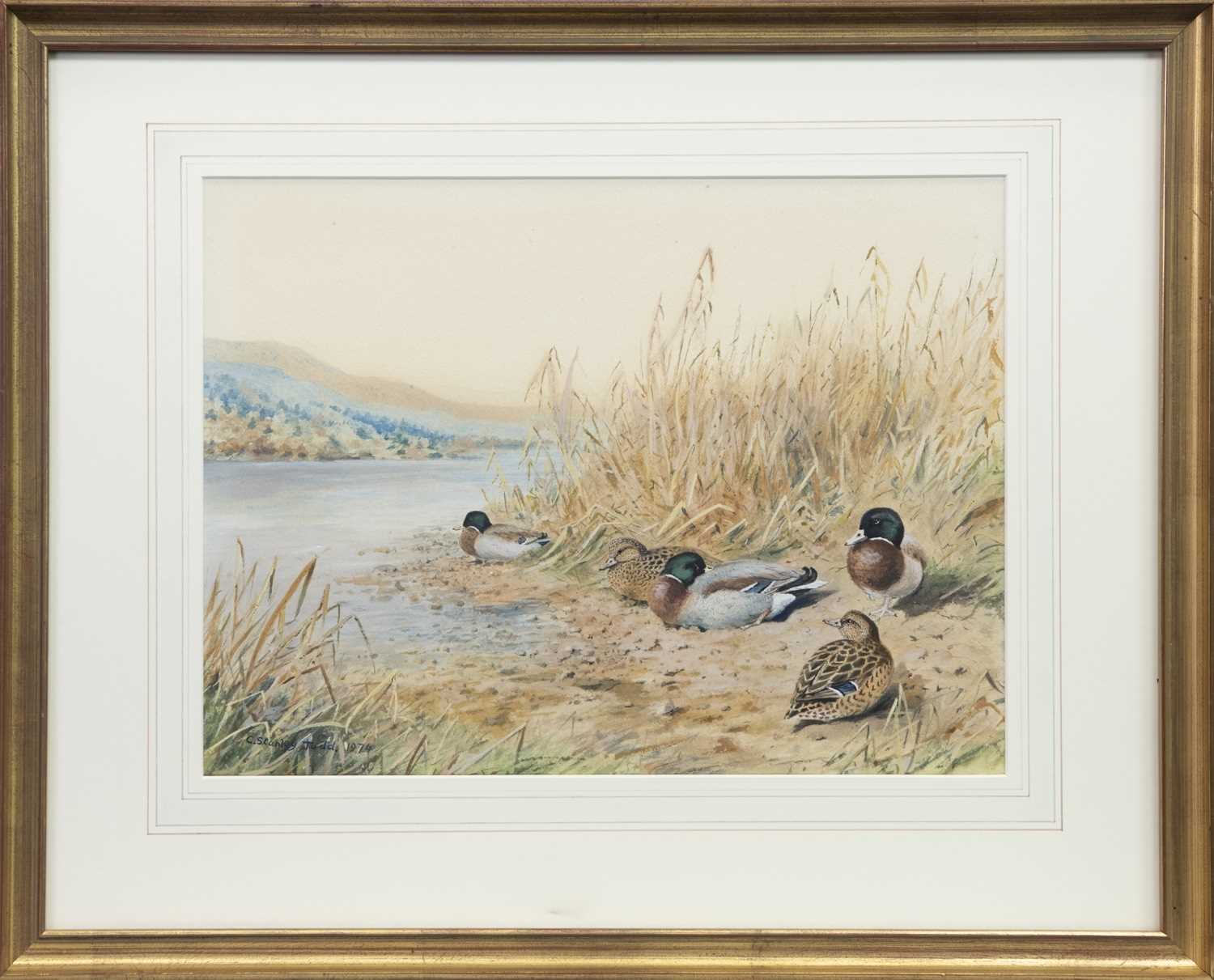 Lot 7 - DUCKS BY THE RIVER, A WATERCOLOUR BY CHARLES STANLEY TODD