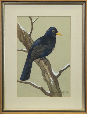 Lot 687 - BLACKBIRD, A GOUACHE BY RALSTON GUDGEON