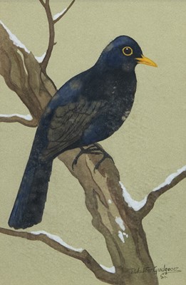 Lot 687 - BLACKBIRD, A GOUACHE BY RALSTON GUDGEON