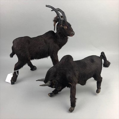Lot 291 - A LOT OF TWO ANIMAL HIDE MODELS