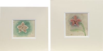 Lot 77 - A COLLECTION OF ORCHIDS, FIVE WATERCOLOURS BY ROBERT EADIE