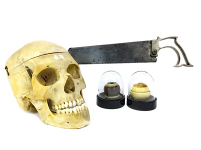Lot 1127 - AN ANATOMICAL HUMAN SKULL AND OTHER MEDICAL ARTEFACTS