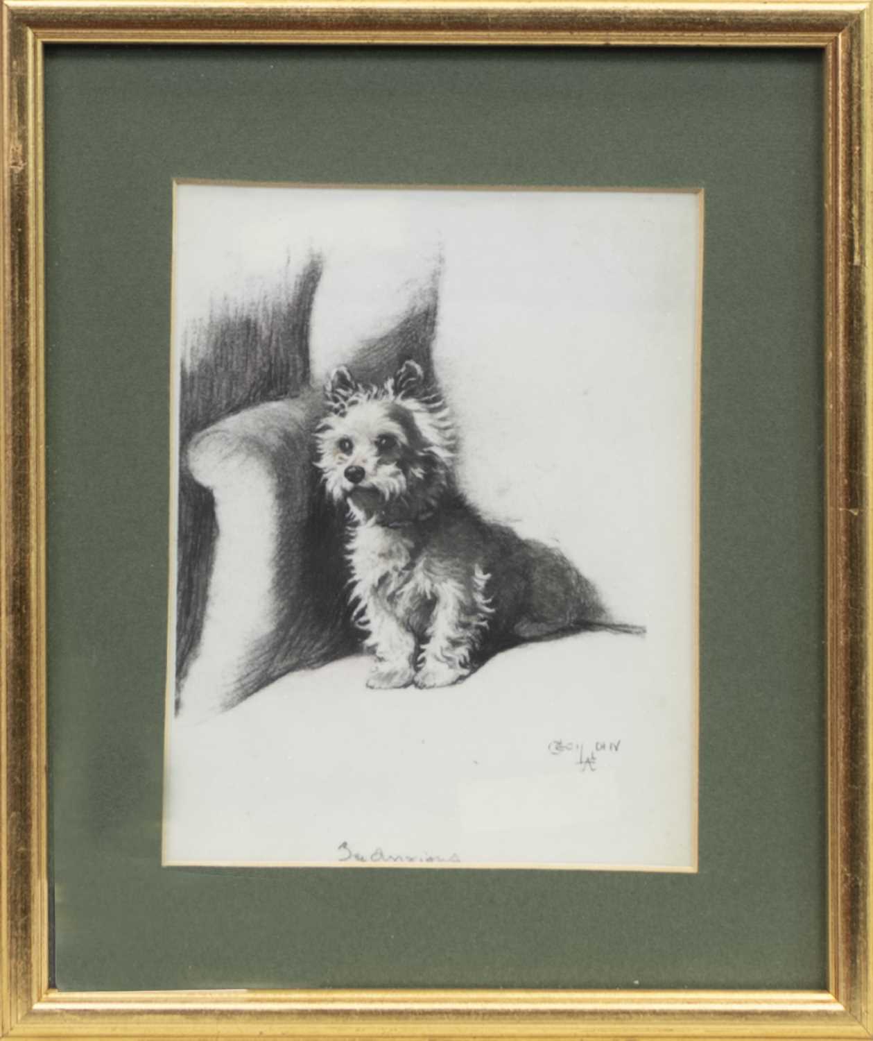 Lot 71 - STUDY OF A DOG, BY CECIL CHARLES WINDSOR ALDIN