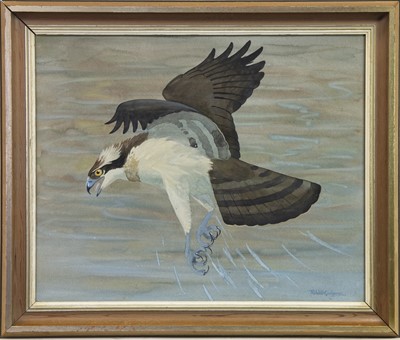 Lot 681 - OSPREY, A WATERCOLOUR BY RALSTON GUDGEON