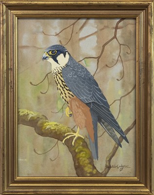 Lot 697 - HOBBY, A GOUACHE BY RALSTON GUDGEON