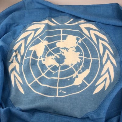 Lot 180 - A UNITED NATIONS FLAG